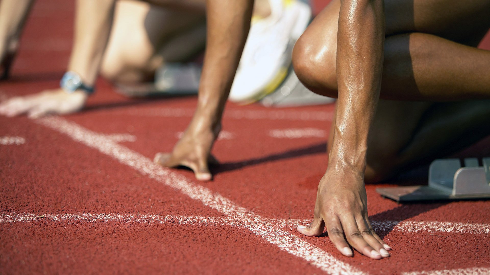 kaiyun 开云体育-Chinese Taipei团队未来规划：构建世界级竞技平台，china taipei